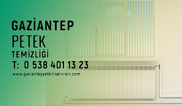 Gaziantep Petek Temizleme
